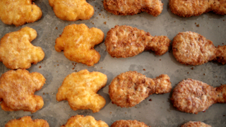 Perdue’s turkey ThanksNuggets make us thankful for dark meat